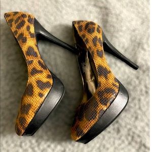 Beautiful Black and Tan Heel